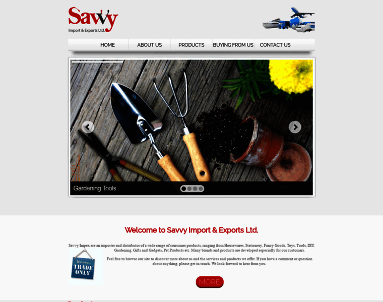 Savvyimpex.com thumbnail