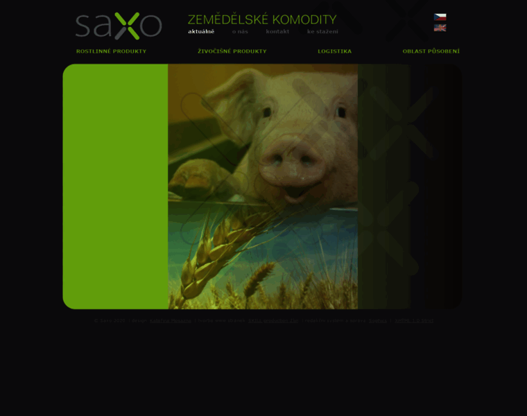 Saxo.cz thumbnail