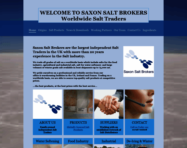 Saxonsaltbrokers.com thumbnail