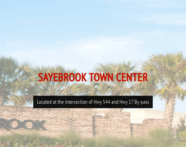 Sayebrooktowncenter.com thumbnail