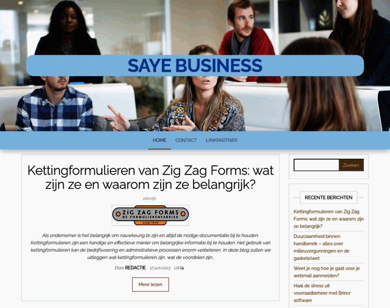 Sayebusiness.nl thumbnail