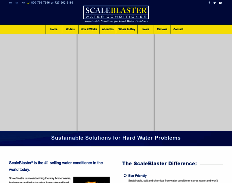 Scaleblaster.com thumbnail