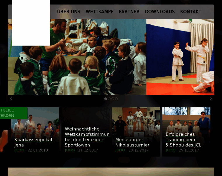 Scdhfk-judo.de thumbnail