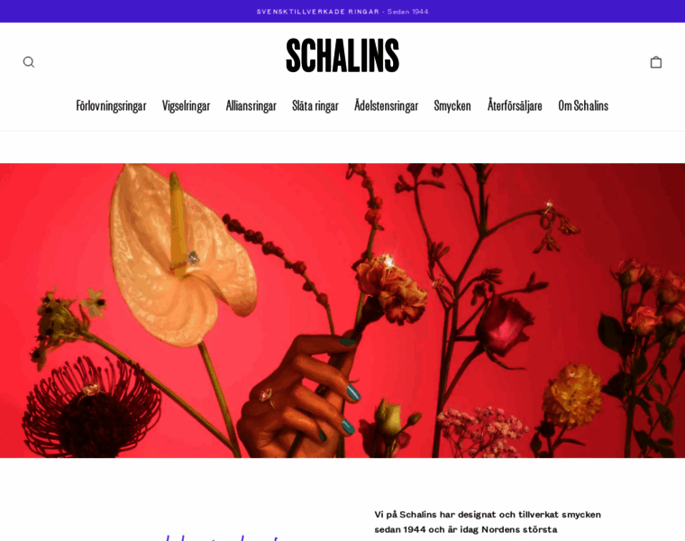Schalins.com thumbnail