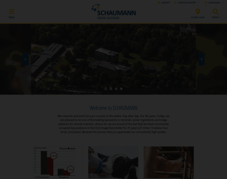 Schaumann.info thumbnail