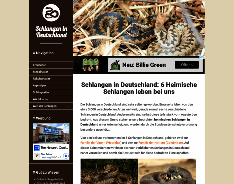 Schlangen-in-deutschland.de thumbnail
