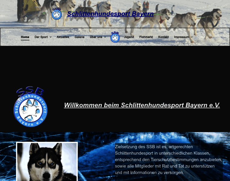 Schlittenhundesportbayern.de thumbnail
