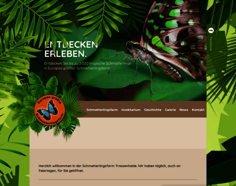 Schmetterlingsfarm.de thumbnail Schmetterlingsfarm.de thumbnail