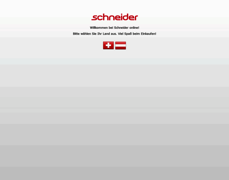 Schneider-online.com thumbnail