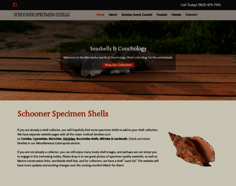 Schnr-specimen-shells.com thumbnail