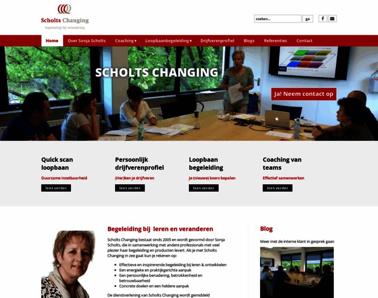 Scholts-changing.nl thumbnail