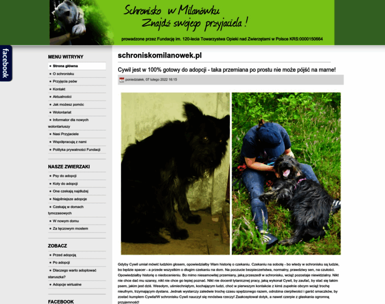 Schroniskomilanowek.pl thumbnail