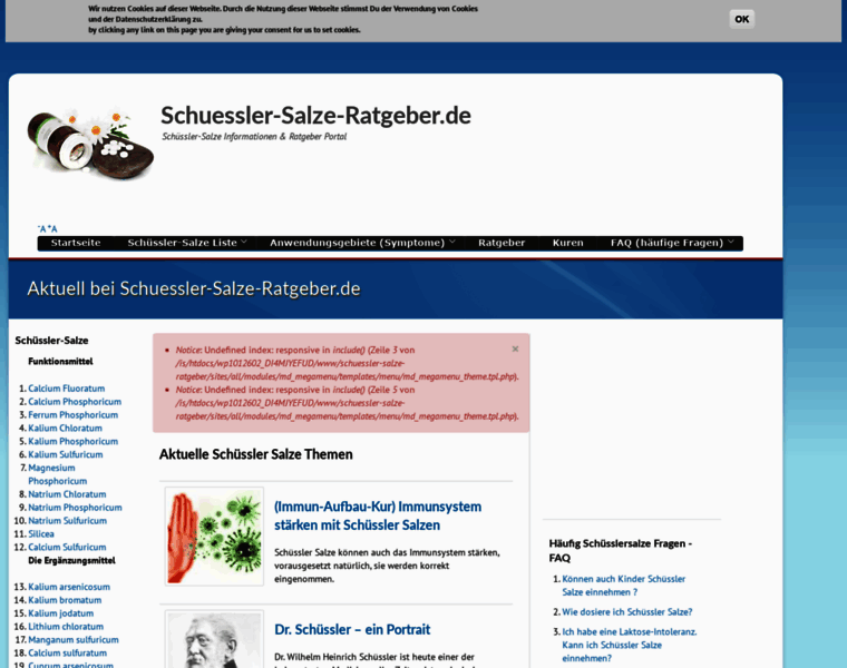 Schuessler-salze-ratgeber.de thumbnail