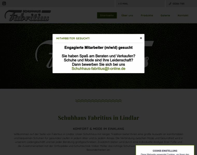 Schuhhaus-fabritius.de thumbnail