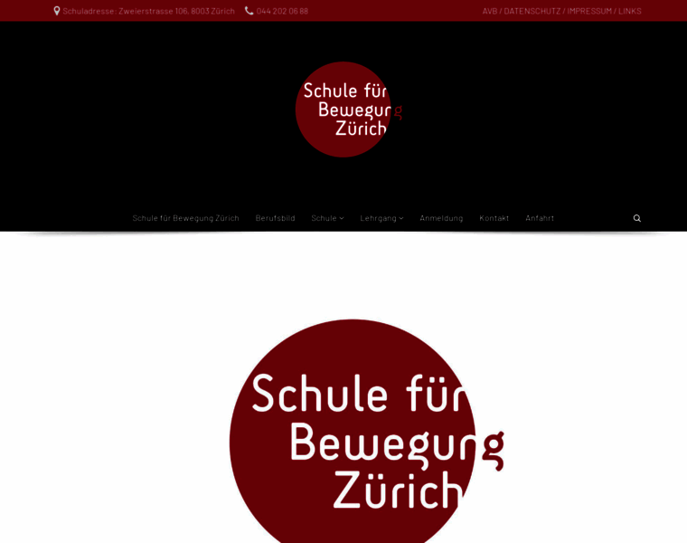Schule-fuer-bewegung-zuerich.ch thumbnail