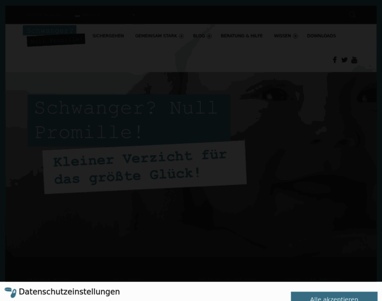 Schwanger-null-promille.de thumbnail