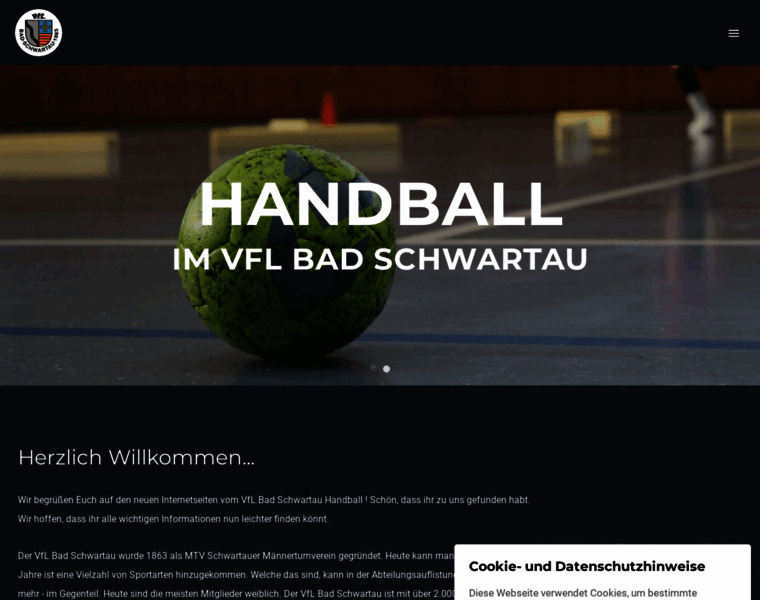 Schwartau-handball.de thumbnail