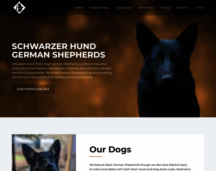 Schwarzerhund.com thumbnail
