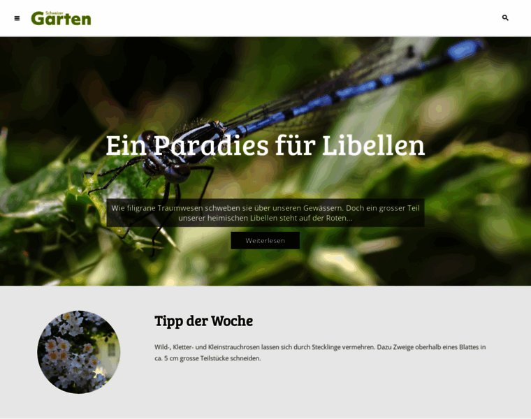 Schweizergarten.ch thumbnail