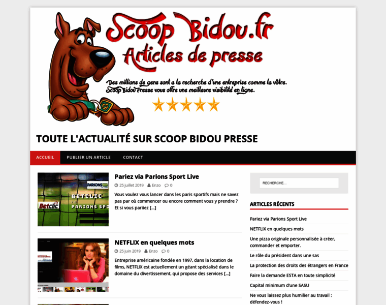 Scoop-bidou.fr thumbnail