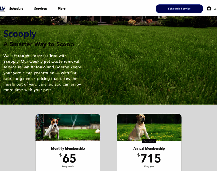 Scooply.pet thumbnail