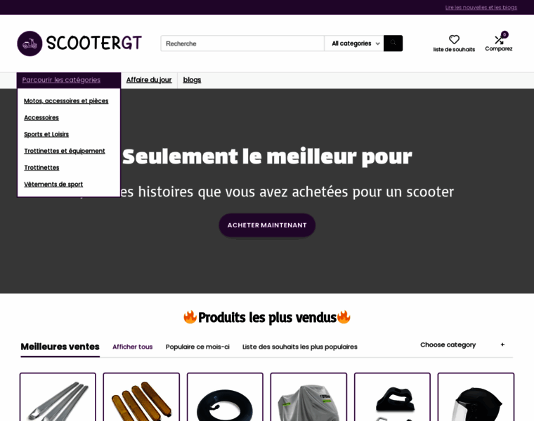 Scootergt.fr thumbnail