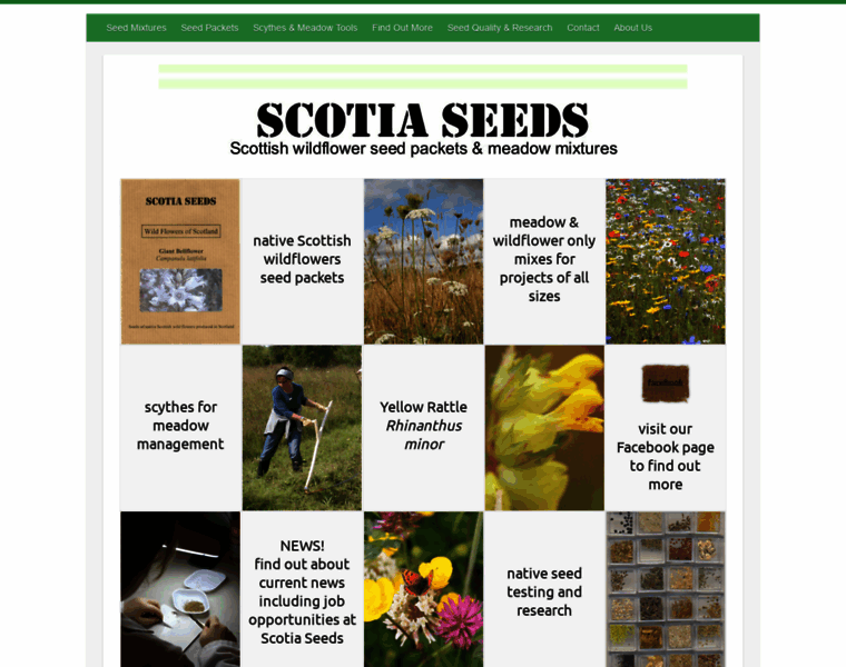 Scotiaseeds.co.uk thumbnail