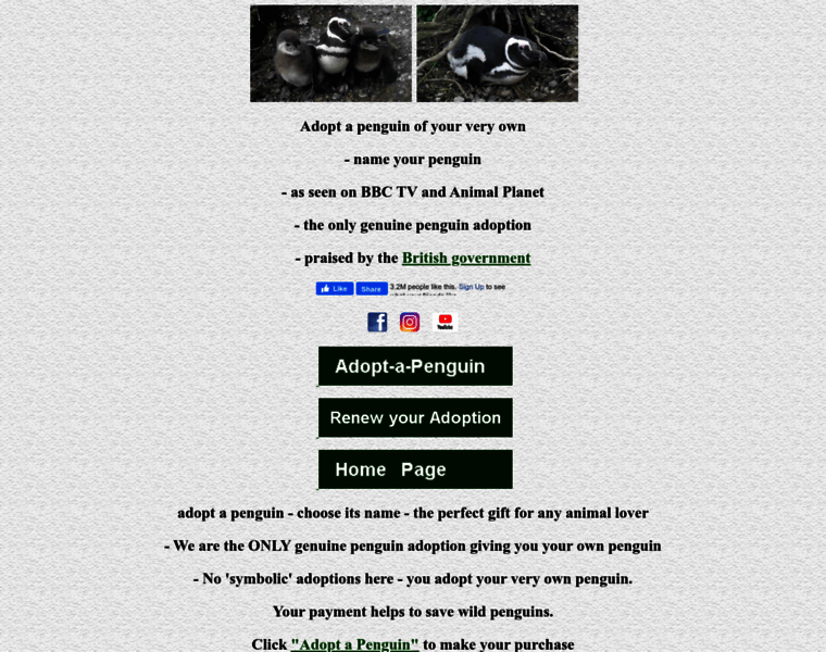 Seabirds.org thumbnail Seabirds.org thumbnail