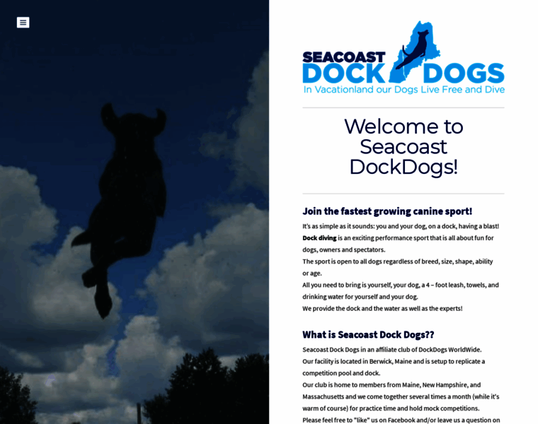 Seacoastdockdogs.com thumbnail
