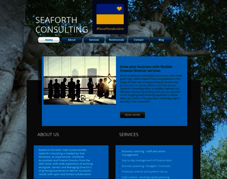 Seaforthconsulting.net thumbnail