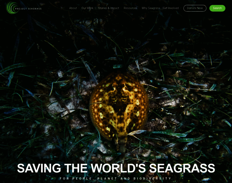 Seagrass.org.uk thumbnail