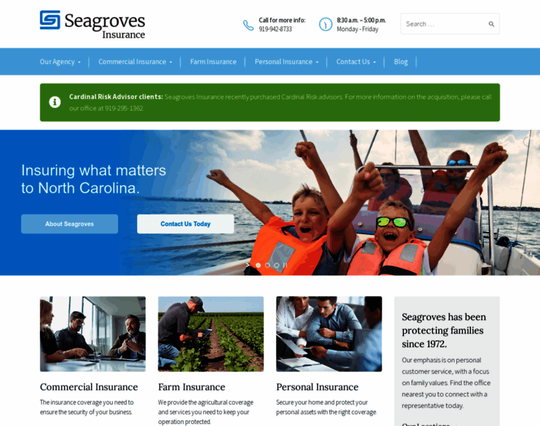 Seagrovesagency.com thumbnail