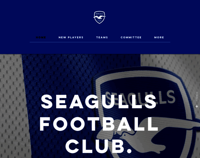 Seagullsfc.co.uk thumbnail