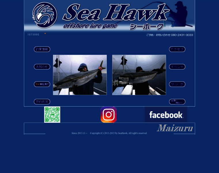 Seahawk33.com thumbnail