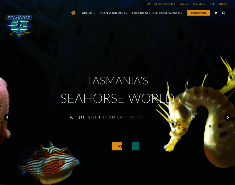 Seahorseworld.com.au thumbnail