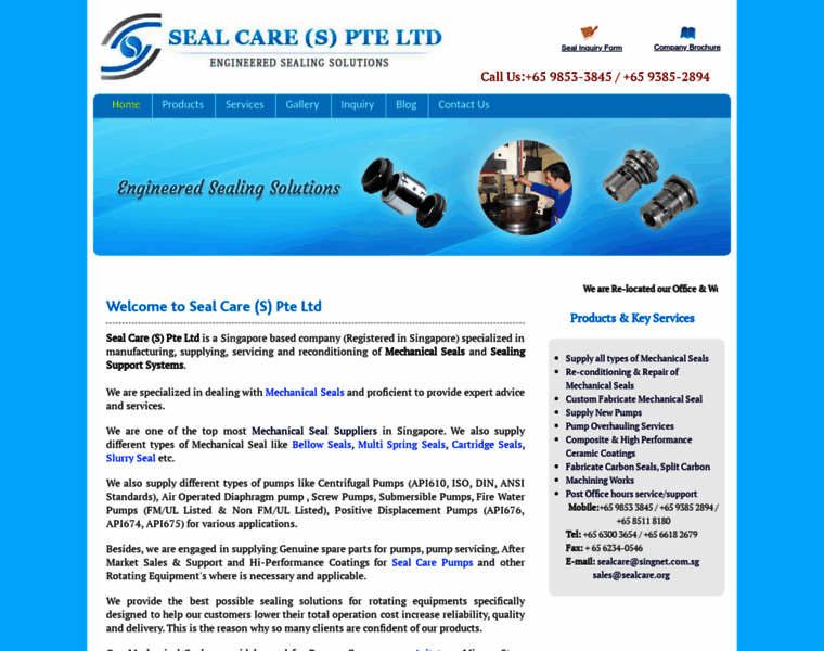 Sealcare.org thumbnail