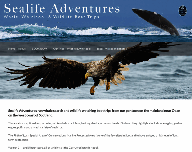 Sealife-adventures.com thumbnail