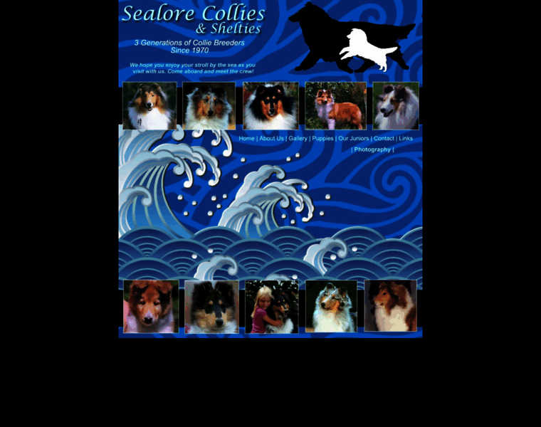 Sealorecollies.com thumbnail