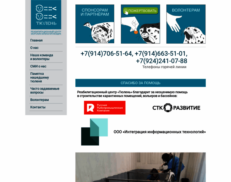Sealsinneed.com thumbnail