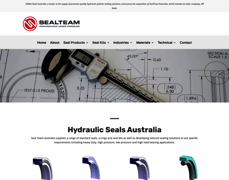 Sealteam.com.au thumbnail