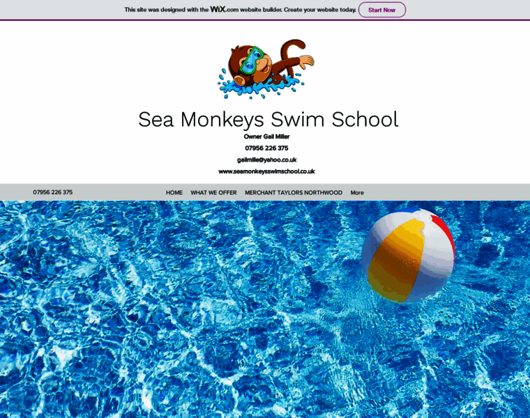 Seamonkeysswimschool.co.uk thumbnail