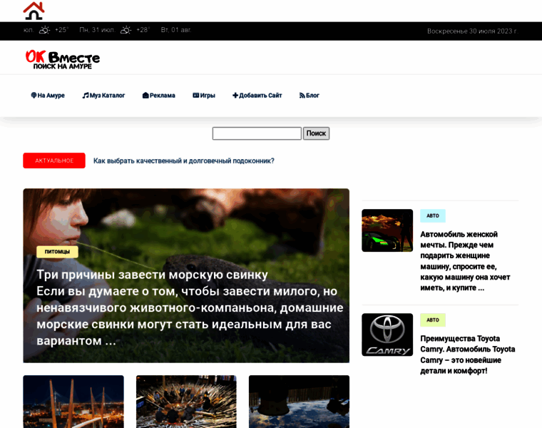 Search.ok-vmeste.ru thumbnail