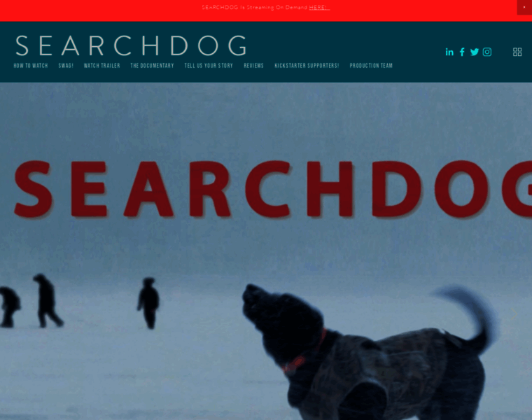 Searchdogmovie.com thumbnail