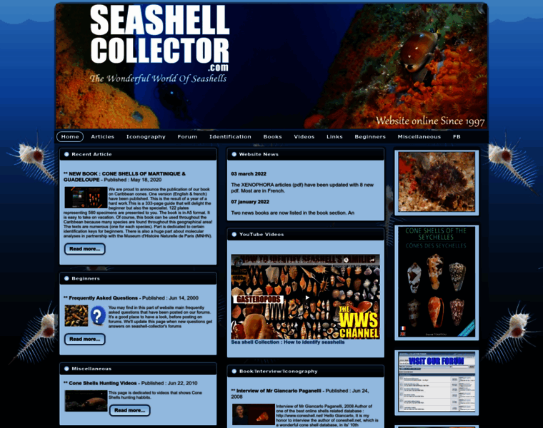 Seashell-collector.com thumbnail