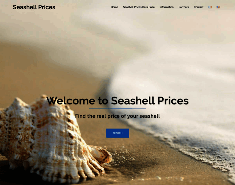 Seashell-prices.com thumbnail