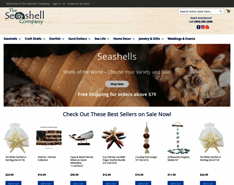 Seashellco.com thumbnail