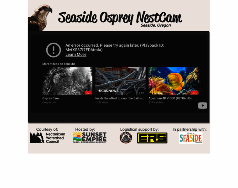 Seasideosprey.org thumbnail