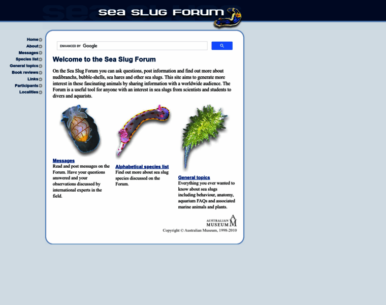 Seaslugforum.net thumbnail