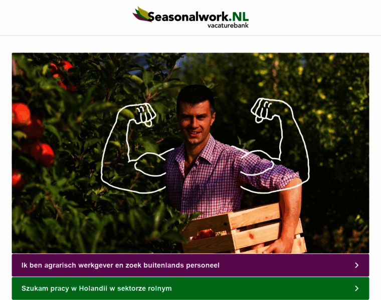 Seasonalwork.nl thumbnail