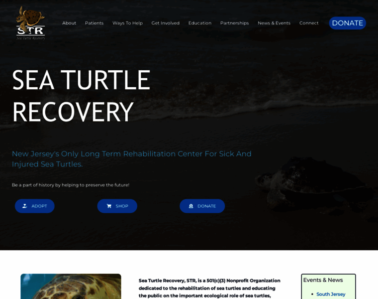 Seaturtlerecovery.org thumbnail